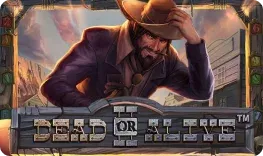 Alpino Casino offre il gioco online Dead or Alive II