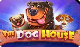 Alpino Casino offre il gioco online The Dog House